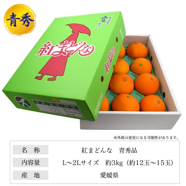 紅まどんな 贈答用 約3kg 青秀品 L〜2L お歳暮 2023 みかん 高級フルーツ 果物 愛媛県産 国産 贈り物 ギフト