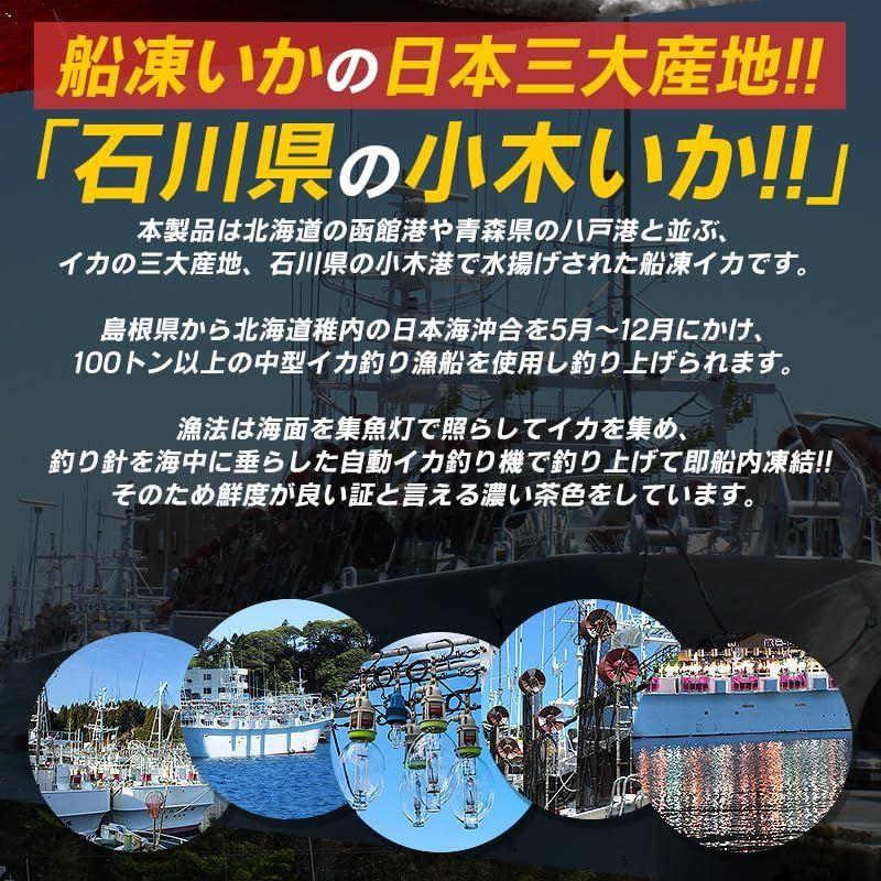 するめいか スルメイカ生 スルメイカ 冷凍 いか イカ 7杯 中型 約1.5kg前後 日本海産 お刺身用