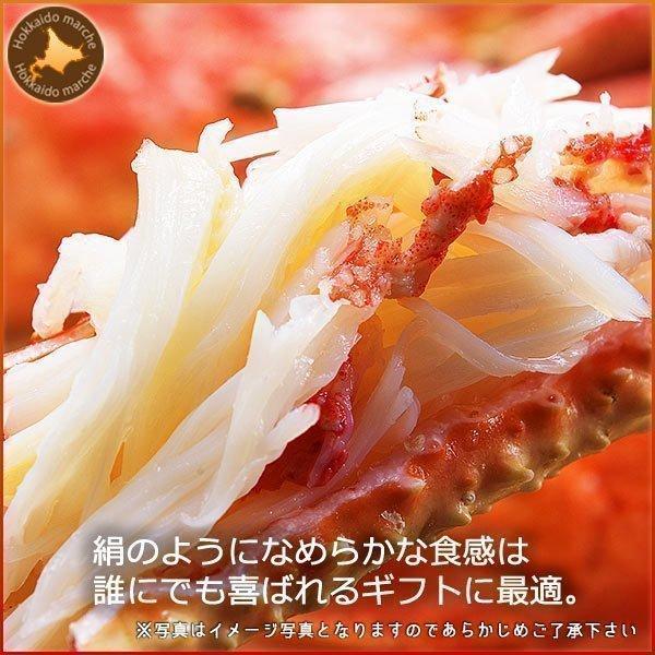 カニ 蟹 カニセット タラバガニ 足 4.8kg（800g×6肩） ズワイガニ 足 4kg 蟹メガ盛りセット 福袋 年末年始 お正月