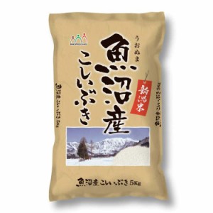 新潟 魚沼産 こしいぶき 5kg 白米 お米 精米 米 銘柄米 美味しい おこめ こめ もっちり ごはん おにぎり ツヤがあり、ねばりのあるコシヒ