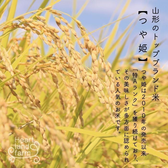 新米 10kg （5kg×2袋） つや姫・はえぬき 食べ比べセット 山形県 令和5年産  お米 送料無料（一部地域を除く）精白米 ギフト 贈り物 のし無料