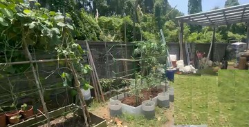 近世紀鋼鐵 農+甲建地 附一樓4房開心花園｜桃園市觀音區育仁段