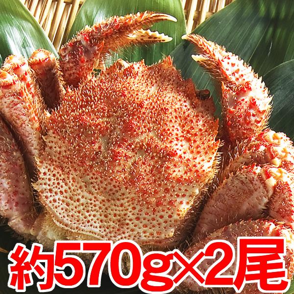 北海道産 毛がに特大2尾 約570g 2尾 オープン記念 食品