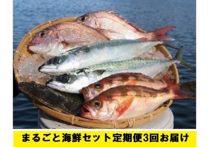 まるごと海鮮セット定期便3回お届け