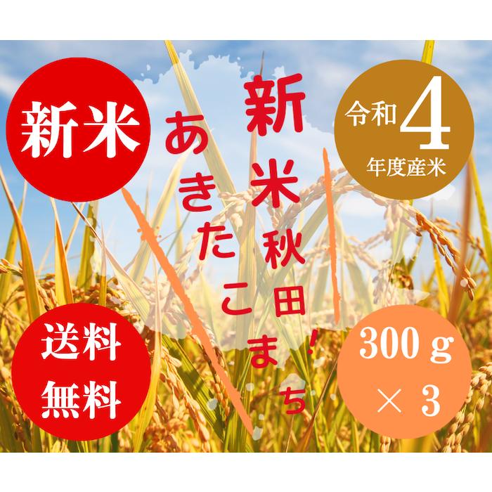 送料無料 令和５年度米 渡部浩見 漢方農法 特別栽培米 あきたこまち ３００g ３パック