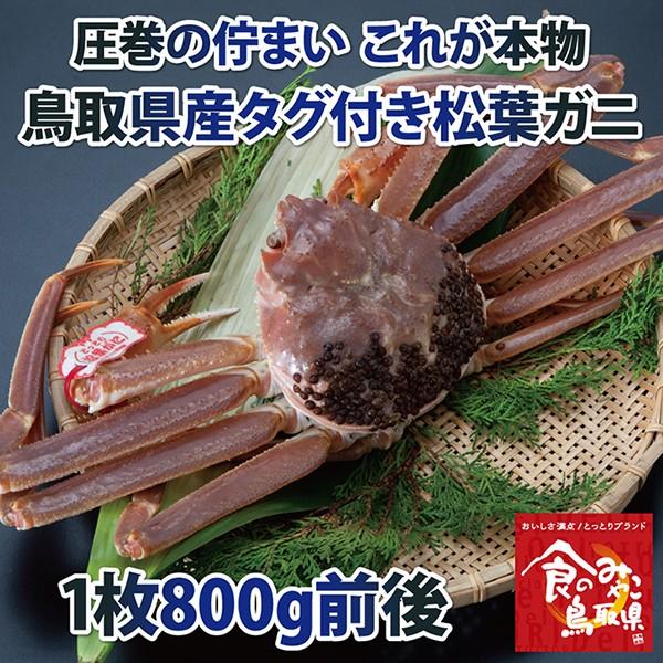 タグ付き松葉ガニ(活)大サイズ1枚800g前後