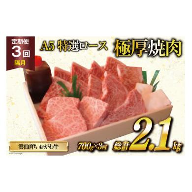 ふるさと納税 長崎県 雲仙市 定期便 3回 牛肉 雲仙育ち おがわ牛 A5 特選 ロース 極厚焼肉 総計2.1kg(700g×3回) 黒毛和牛 冷凍   焼肉おがわ   長崎県 雲仙市