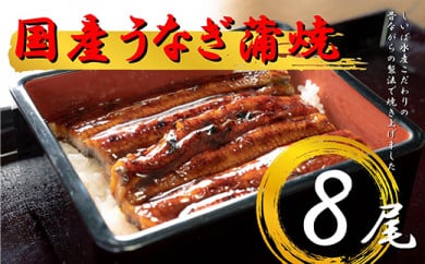 国内産うなぎ蒲焼８尾！