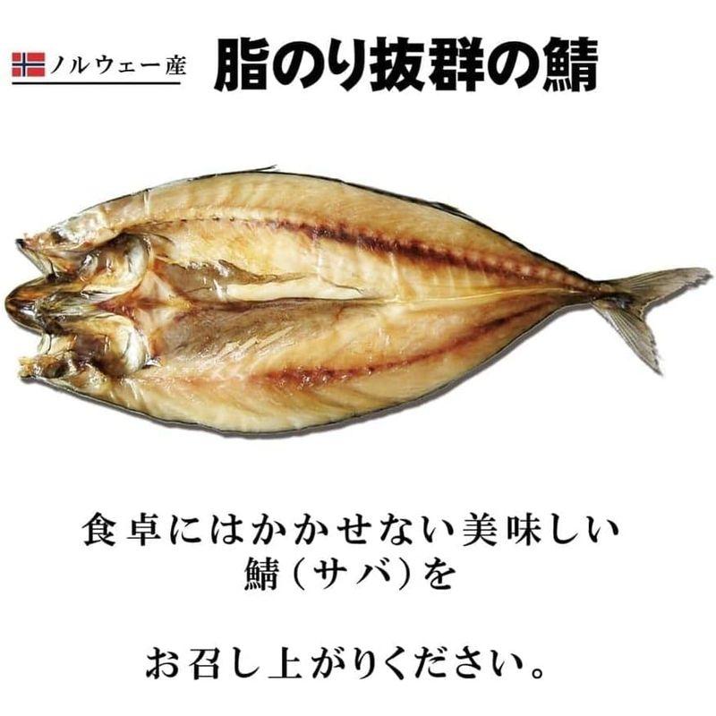 ノルウェー産 一夜干し 鯖（サバ） 開き 320g前後×3枚 あま塩 大サイズ サバ 干物 干し魚 肉厚 さば 鯖