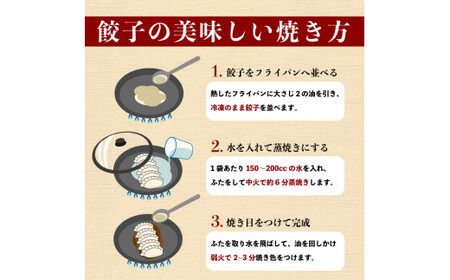 喜多方ラーメン来夢 自家製冷凍餃子 80個入り