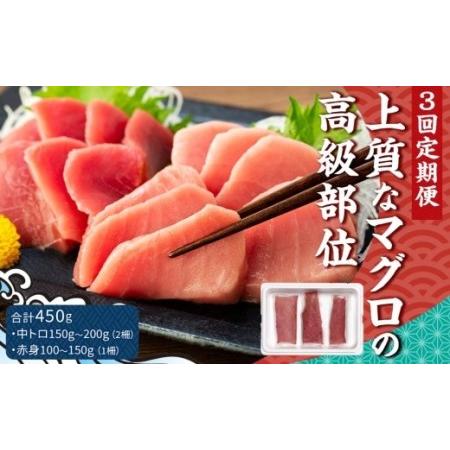 ふるさと納税 本マグロ 中トロ・赤身セット 450g【マグロ まぐろ 本マグロ 養殖マグロ 養殖本マグロ 冷凍マグロ マグロ刺身 マグロ中トロ.. 長崎県