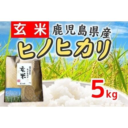 ふるさと納税 067-09 鹿児島県産ヒノヒカリ5kg 鹿児島県南九州市