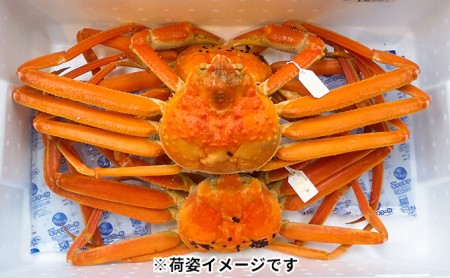 新湊産本ズワイガニ約700g