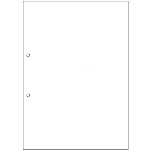 マルチプリンタ帳票(FSC森林認証紙) A4白紙 2穴 1セツト(1000枚:500枚×2箱)