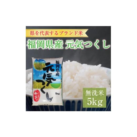 ふるさと納税 福岡県 添田町 福岡県産 元気つくし 無洗米 5kg(5kg×1) [a0196] 株式会社 藤食糧 添田町 ふるさと納税