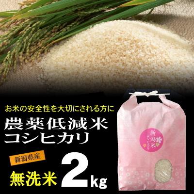 無洗米 農薬低減米 コシヒカリ 2kg 米 お米   低農薬 新潟 岩船産 令和5年産 新米   人気 おいしい 新潟米 こしひかり 送料無料