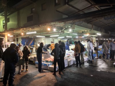 穴子の白焼き　7本入約500g　～お祝い品におすすめ～