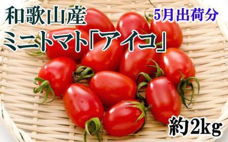 トマト 5月 先行予約 野菜    和歌山産ミニトマト「アイコトマト」約2kg（S・Mサイズおまかせ）