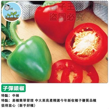 台灣現貨 子彈頭辣椒種子 中辣度  家用盆栽 陽台種植 可食用 觀賞 農作  新鮮 居家園藝 易種 高發芽率