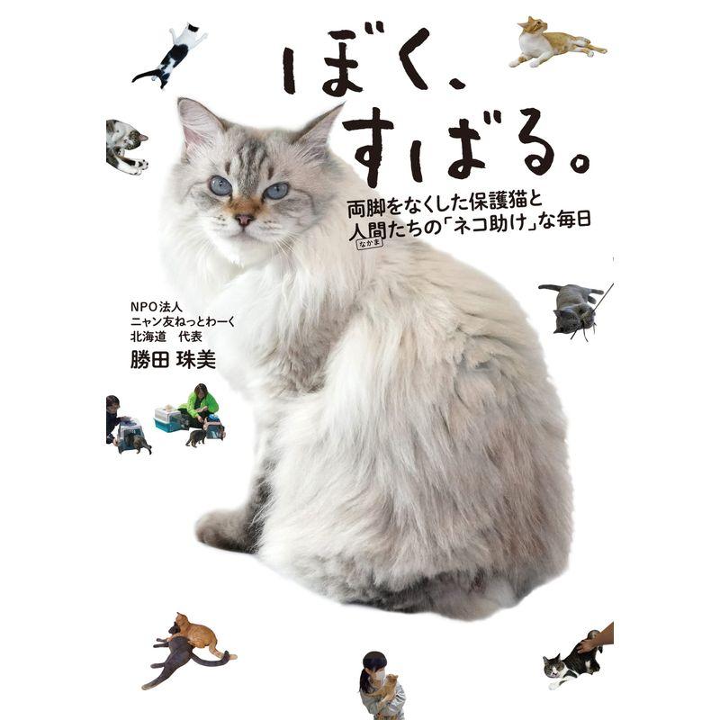 ぼく、すばる。両脚をなくした保護猫と人間たちの「ネコ助け」な毎日