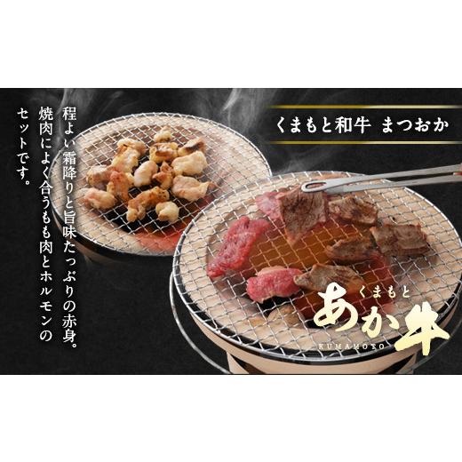 ふるさと納税 熊本県 水俣市 くまもと あか牛 焼肉 セット 1kg もも700g ホルモン300g