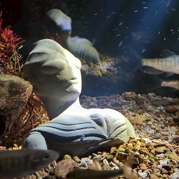 【全網低價 可打統編】超人力霸王魚缸裝飾造景小號擺件水族箱沉木草缸沉底微景觀水泥