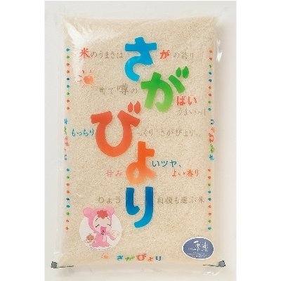ふるさと納税 佐賀市 佐賀県産さがびより(18kg)