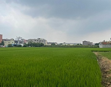 瑪姬獨家中興路一般農⭐地形方正⭐雙面臨路⭐｜桃園市蘆竹區中興