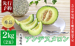 007-1茨城県産アンデスメロン約2kg（2玉）