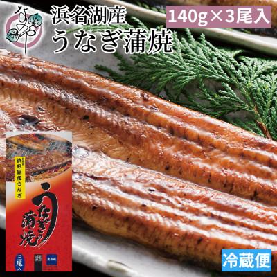 ふるさと納税 磐田市 浜名湖産 うなぎ蒲焼 3尾入り