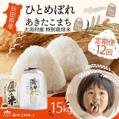 ふるさと納税 秋田市 秋田県産ひとめぼれ10kg・大潟村ふると米5kg食べ比べセット 全12回