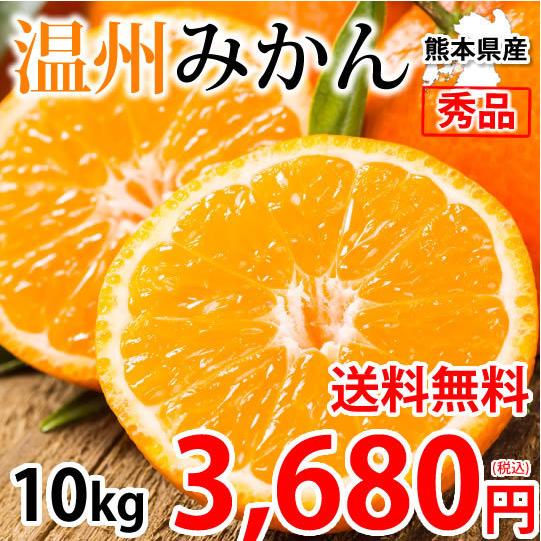 みかん 10kg 送料無料 温州みかん 秀品 熊本県産 蜜柑 ミカン