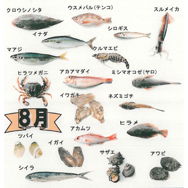 鮮魚ボックス セットA 山形県庄内産 鮮魚 詰め合わせ 直送 食の都庄内