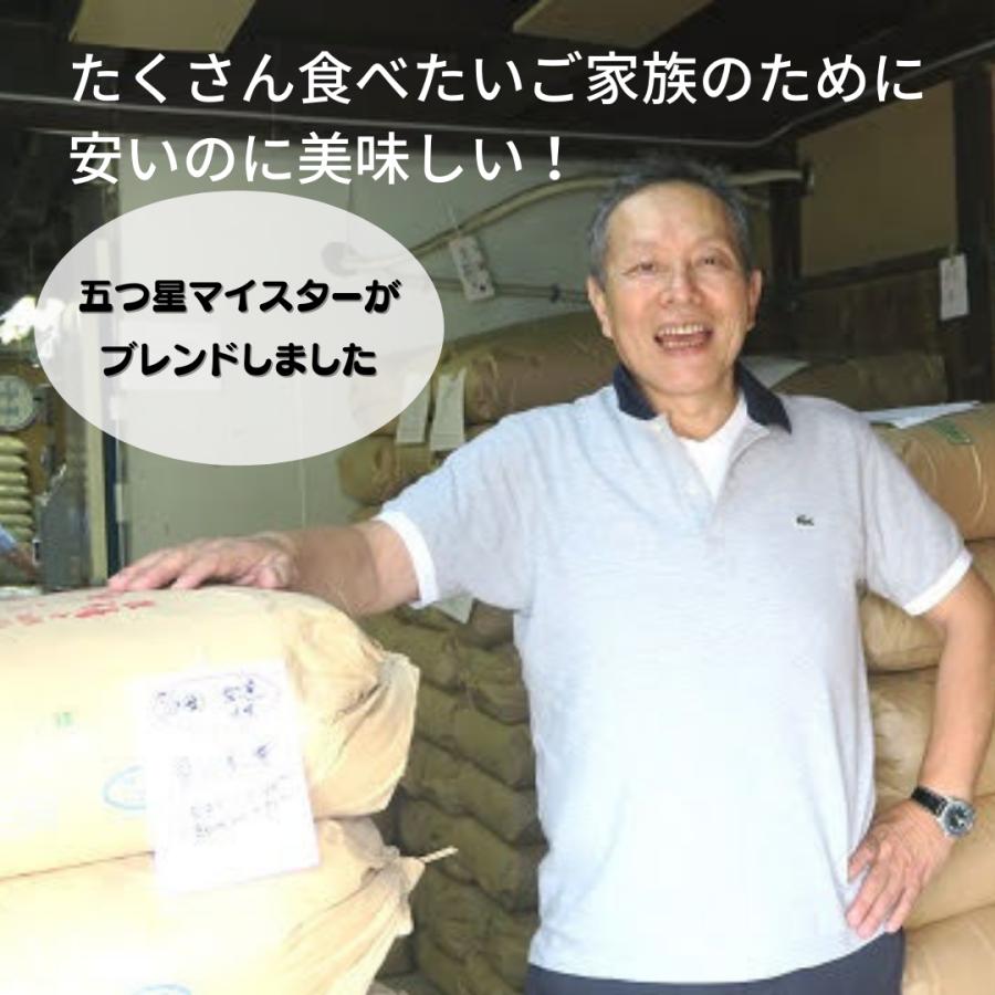 国産100％ブレンド米　30kg（10kg×３）　特上里山