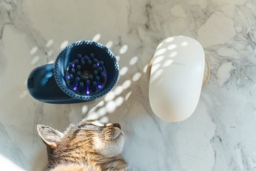 蟲蟲退散。UV紫外線殺菌按摩刷 梳毛刷