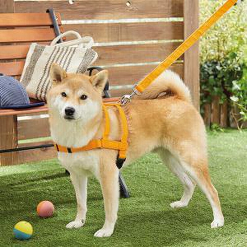 Peppy ペピイ 抜けにくい抗菌ショルダーハーネス レッド S ハーネス 犬用 通販 Lineポイント最大7 0 Get Lineショッピング