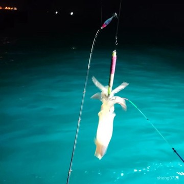 魷魚吹筒鉤第三代陞級紙質土炮15,20、25克,UV,夜光,傘鉤鋒利。夜光布捲 挫鉤 魷魚鉤 透抽鉤軟絲鉤 ZLD6
