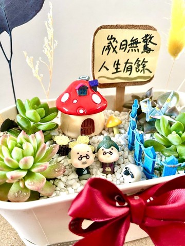 多肉組盆 多肉植物 日式枯山水 婚禮禮物 情人節 禮物 結婚紀念日