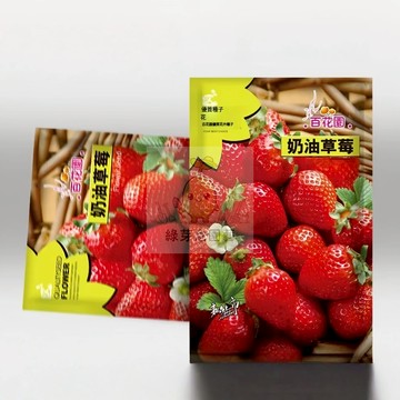 🌱【原裝水果種子】🍓四季草莓 親測出芽率超85% 不挑土壤 生長快速可持續繁殖 香氣濃郁 酸甜適中 田園庭院盆栽水果種子