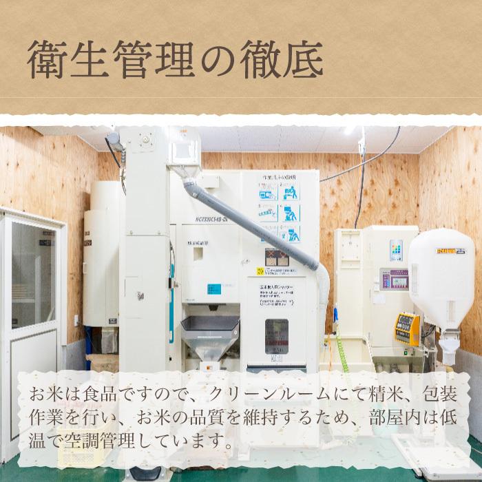 無洗米 新潟県産 コシヒカリ 特別栽培米 5kg 令和5年産 新米 こしひかり 5キロ 農家直送 減農薬