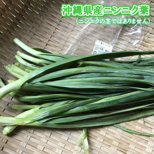 沖縄県産 ニンニク葉  約100ｇ　　にんにく葉（ニンニク茎とは違います）