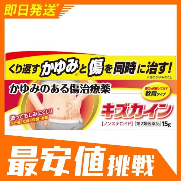 キズカイン 15g 傷薬 かゆみのある傷 ノンステロイド 1個 第２類医薬品 通販 Lineポイント最大0 5 Get Lineショッピング