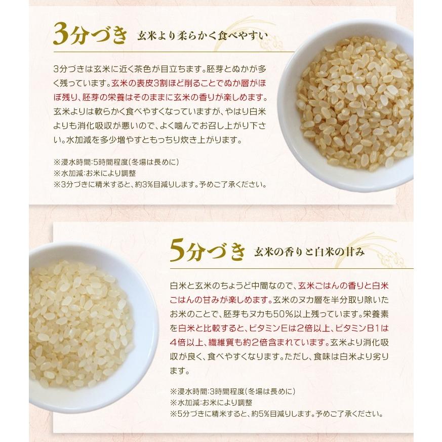 ひろしまのお米 玄米15kgセール 選べる精米 白米 分づき 安い 送料無料  つきたて