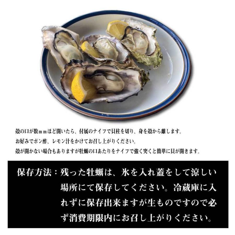 牡蠣 かき カキ 蒸し牡蠣 牡蠣小屋 能登牡蠣ガンガン焼きセット2kg 約20個入 冷蔵便