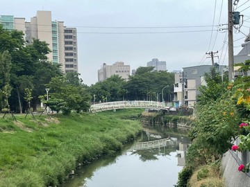 降價熱銷!建工+高醫商圈翻新增建便宜透天+直接入住｜高雄市三民區孝順街