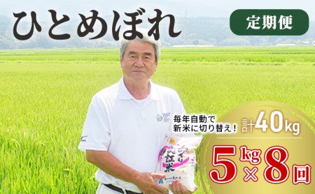 米 定期便 5kg 8ヶ月 令和5年 ひとめぼれ 5kg×8回 計40kg 精米 白米 ※毎年11月より新米