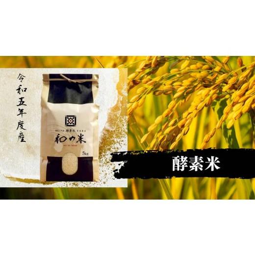 ふるさと納税 茨城県 利根町 ＼令和5年産／和の米　「酵素米」　玄米5kg