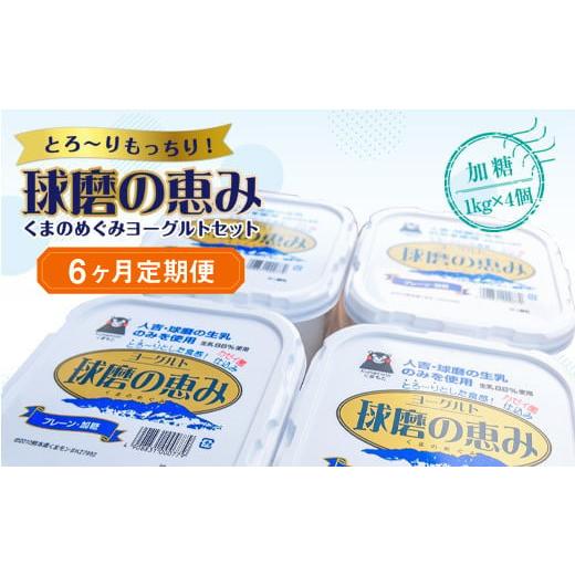 ふるさと納税 熊本県 湯前町 球磨の恵みヨーグルトセット(加糖1kg×4個)計24kg