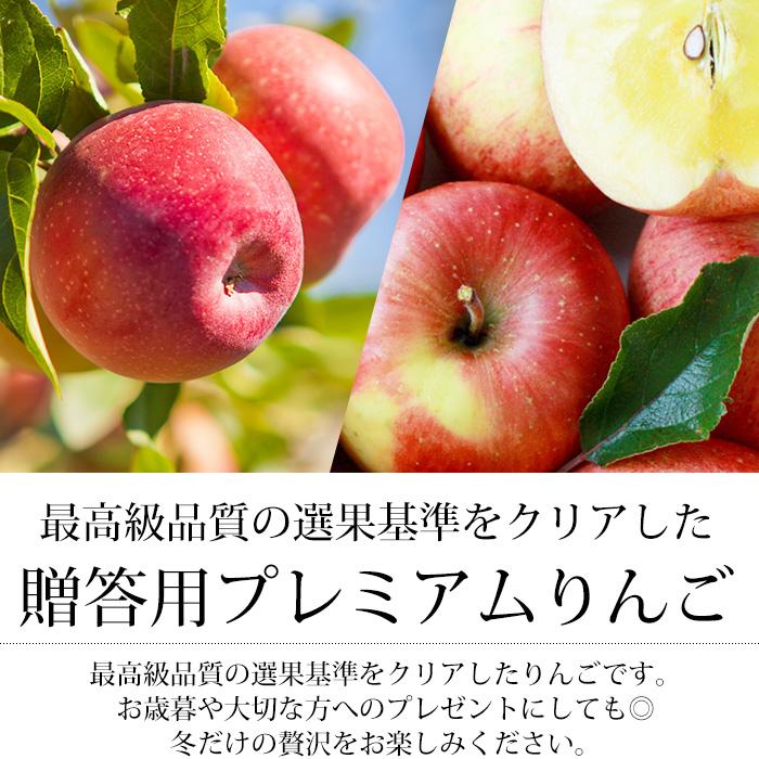 りんご 青森県産 サンふじ プレミアム 約2kg 5〜9玉