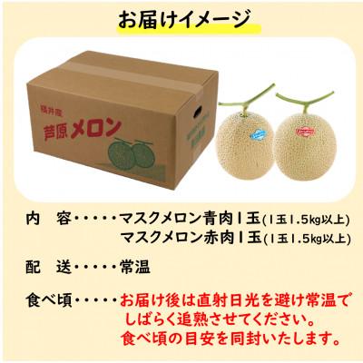 ふるさと納税 あわら市 マスクメロン 青肉 赤肉 2色セット(1.5kg以上 2玉入)食べ比べお楽しみ!